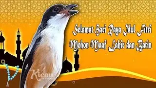 CENDET ISIAN KAPAS TEMBAK MASTERAN HANDAL TROTOL SUPER