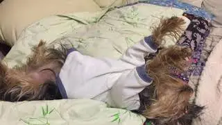 Стеша медитирует , 🧘‍♀️ йога
