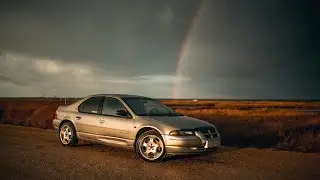 Цвет