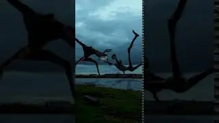 Siren Head VS Light Head on Camera! 