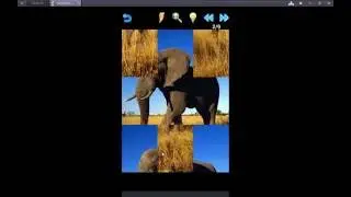puzzle 4 all_2017