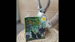 Hansa Bilby Hand Puppet reading A Home for Bilby.