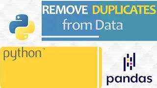 How to Remove Duplicates from data using Python