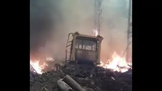 Тайга в огне. Борьба с лесными пожарами.