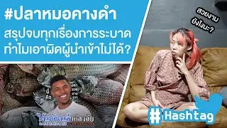 #ปลาหมอคางดำ