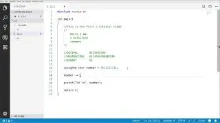 Binary Notation in C