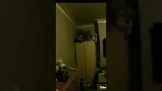 Монстр в комнате. Monster. 