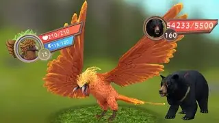 Killing the Asiatic Bear With a Lvl 15 Eagle