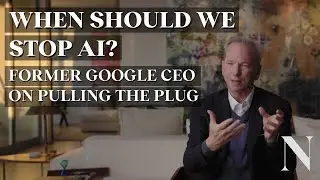 When Should We Stop AI? Former Google CEO On Pulling The Plug
