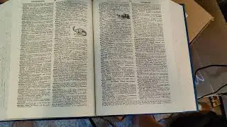 dictionary 11