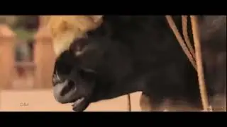 Behind the Scenes of Bahubali Beginning vfx before and after bull fight scene of bahubali