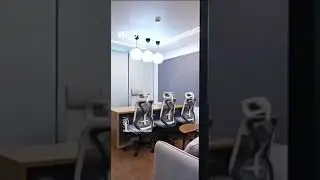 The 