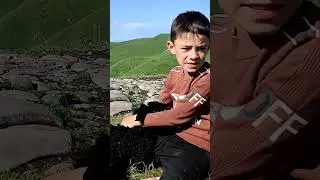 Кто желает сфотографироваться с маленьким барашком?