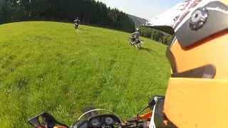 Summer - Fun in the Forest | PanthersNRW