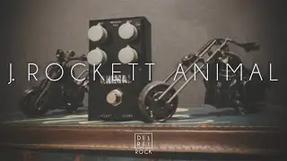 J. Rockett Audio Designs Animal - Demo & Playthrough