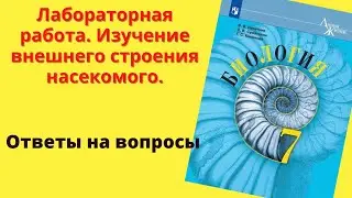 Биология 7 класс. Лабораторная работа. Изучение внешнего строения насекомого.