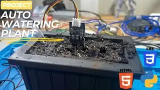 DIY Smart Self-Watering Plant System with Raspberry Pi