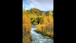 Золотая осень в горах