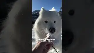 Who knew snow was this crunchy!