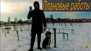 Фундук-сад! Плановые работы на ближайших три месяца!!!