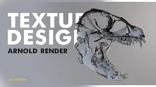 Tuto C4DtoA - Arnold render texture design
