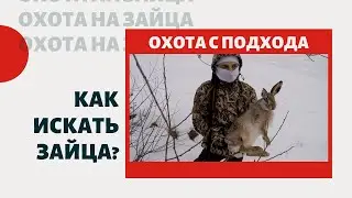 Как искать зайца ? Как охотиться с подхода? Охота с подхода