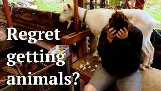 Watch this before you get Livestock | 5 Harsh Realties of Homesteading