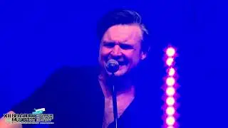 XII BelgoordMusicFest2023 - «Борислав Струлёв и Друзья» - ИВАН ЗАМОТАЕВ Бэнд - «Завяжу»