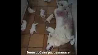Ну ожидаемо вышло
