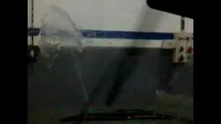 Los sapitos del sapo