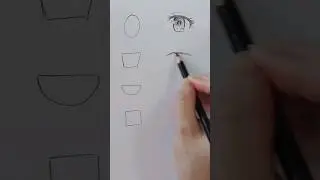 How to draw anime eyes - different iris shapes #howtodrawanime #animeeyes #draw