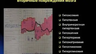 Интенсивная терапия при острых нарушениях мозгового кровообращения