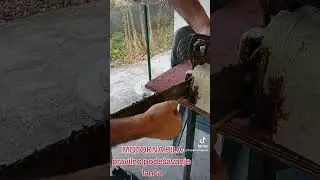 motorna pila (I)