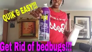 HOW TO GET RID OF BEDBUGS | Quick & Easy!!