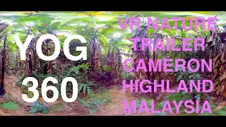 VR YOGA 360 NATURE - RELAX TIME in MALAYSIAN JUNGLE CAMERON HIGHLAND