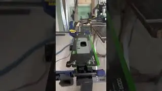 Дубовая  «скрытка»