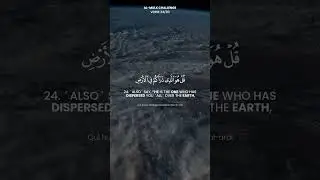 Surat Al-Mulk Challenge | Verse 24 | Memorize One Verse Each Day