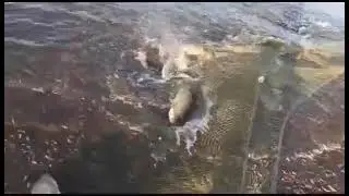 Рыбалка на Яне