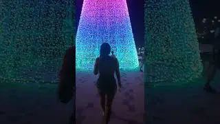 Malecón del Río Navidad en Barranquilla 