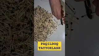 Paqildoq tayyorlash Paqildoq yashash #paqildoq #tayyorlash #paqildoq #yasash