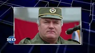 Международные трибуналы