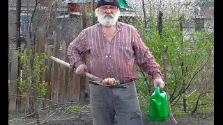 Новый метод посадки картошки. Посадка картошки 2016