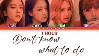 [1 HOUR] BLACKPINK (블랙핑크) - 'Don’t Know What To Do' Color Coded Lyrics [Han/Rom/Eng]