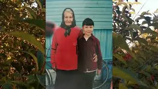 "Да бабулi"