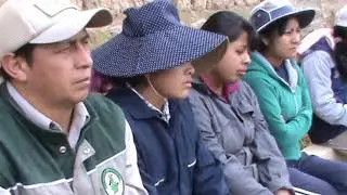 SELECCIÓN DE CAMELIDOS  (LLAMAS)