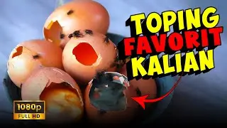 TUTORIAL JUALAN TELUR BUSUK AGAR LAKU !