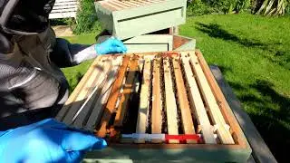02 Swarm 2 Big Inspection Wednesday 1st July 2020