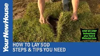 Have a Beautiful Lawn in a Day - The Great Outdoors