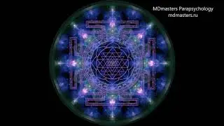 Это твоя жизнь / Медитация (альфа уровень) / MDmasters Parapsyhology