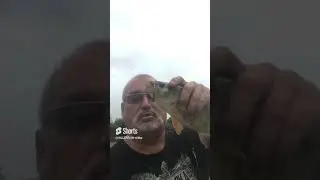 KILLER FISH 007 !!! TAGANKA 2023 !!! #fishing #commoncarp #carpworld #freshwaterfish #everythingcarp
